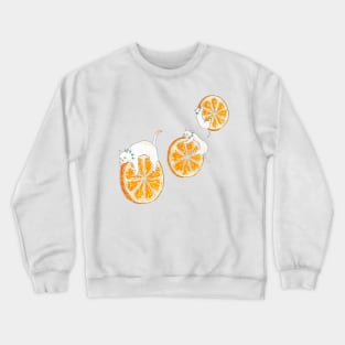 Orange Kittens Crewneck Sweatshirt